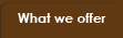 what we offer tab